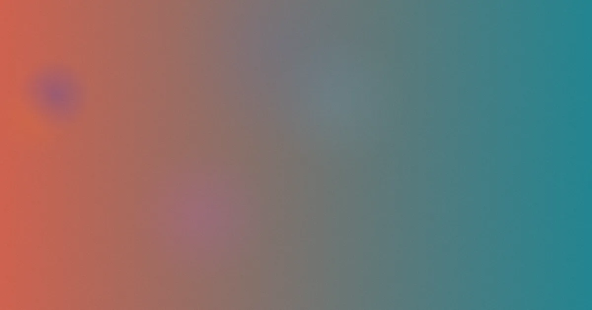 欧美x x00是什么